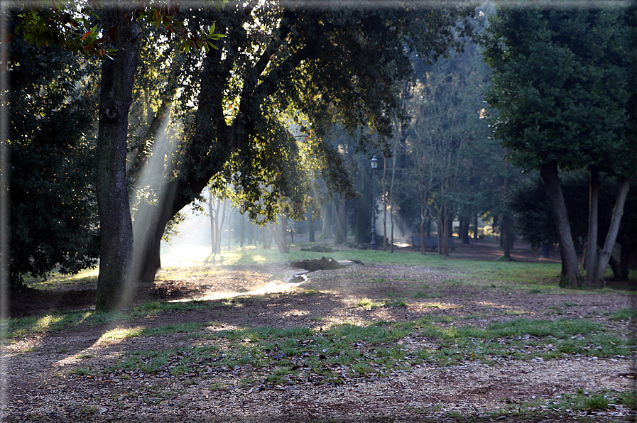 foto Parco di Villa Borghese